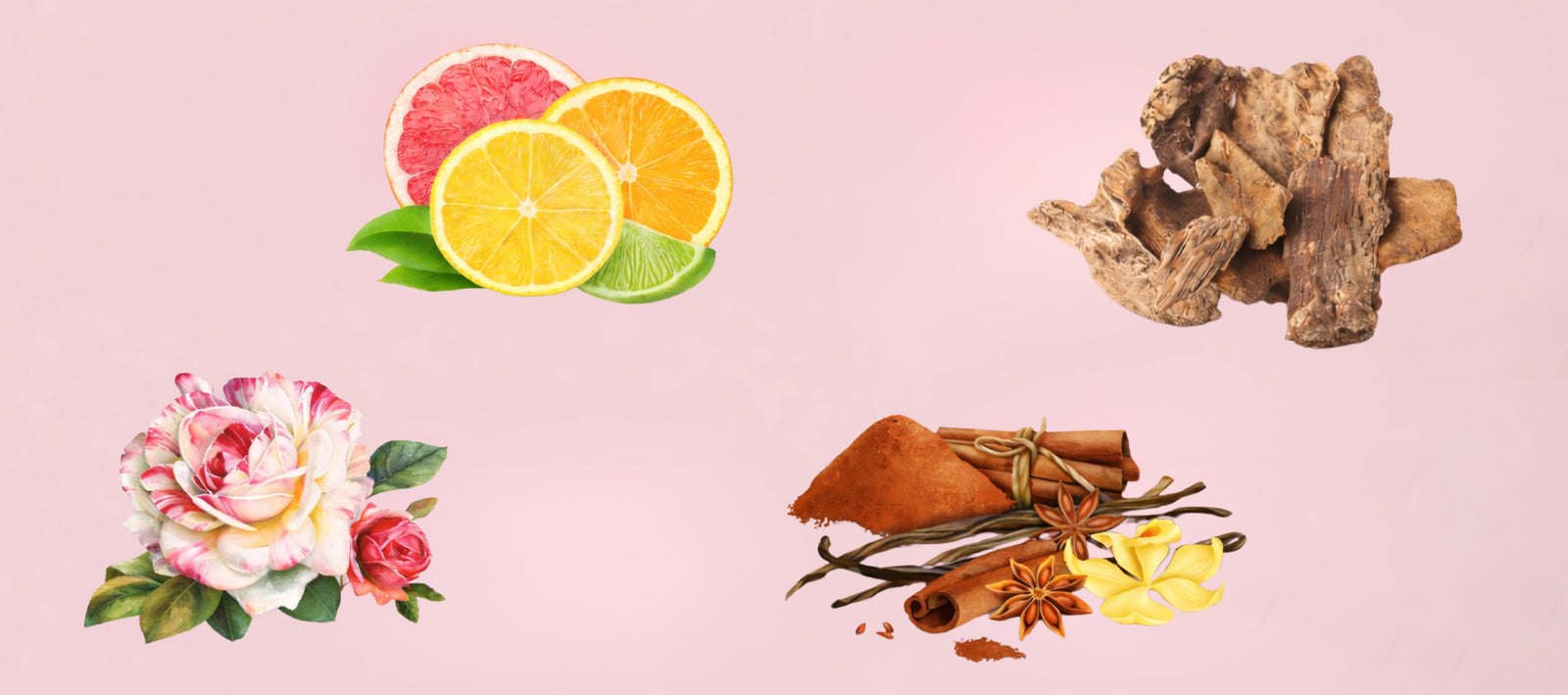 Fragrance Families Every Perfume Lover Should Know