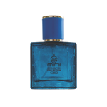 Mini Brand Collection 314 Eau de parfum - Travel Fragrance for Him